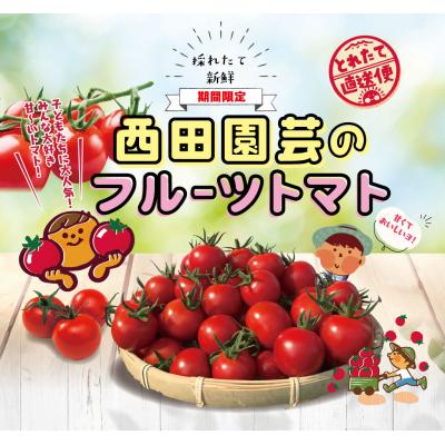 ふるさと納税 鳥取市 フルーツトマト 1.5kg