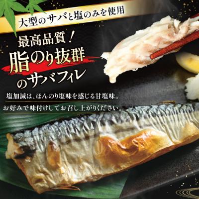 ふるさと納税 気仙沼市 訳あり 塩 サバ フィレ 2.5kg [気仙沼市 20564146] さば 鯖 |  | 01
