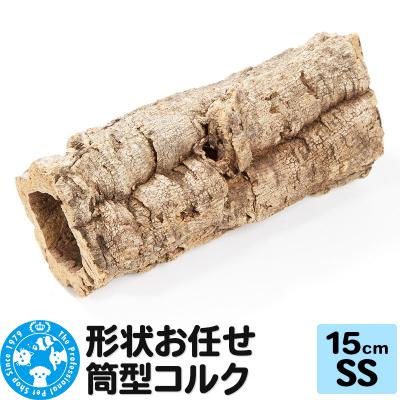 ふるさと納税 邑楽町 形状お任せ 筒型コルク SSサイズ 長さ15cm エアプランツ|09_chm-cl0101aa