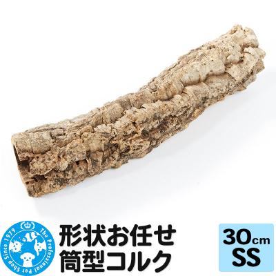 ふるさと納税 邑楽町 形状お任せ 筒型コルク SSサイズ 長さ30cm エアプランツ|09_chm-cl0101ab