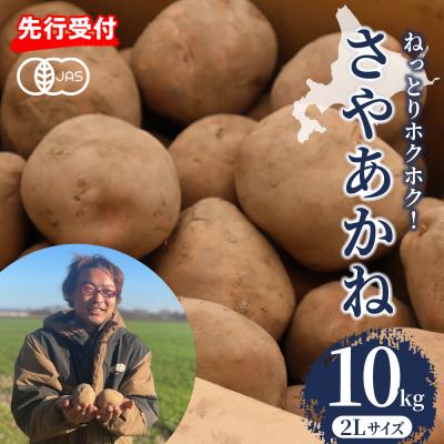 ふるさと納税 芽室町 [先行受付][2025年12月より配送]さやあかね 2Lサイズ 10kg me049-005c-25