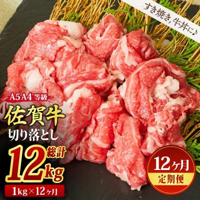 ふるさと納税 神埼市 [12回定期便]切り落とし 1000g (500gx2)A4A5 すき焼き 牛丼 (H085196)