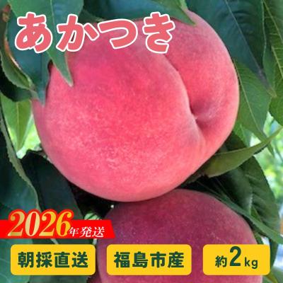 ふるさと納税 福島市 朝採り直送!福島の桃「あかつき」約2kg [2026年発送 先行受付]No.2875