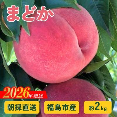 ふるさと納税 福島市 朝採り直送!福島の桃「まどか」約2kg [2026年発送 先行予約]No.2876