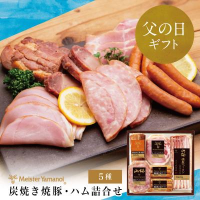 ふるさと納税 南さつま市 [父の日ギフト]マイスター 山野井 炭焼き焼豚とハムの詰め合わせ(5種)
