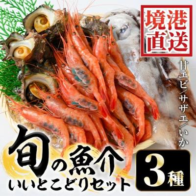 ふるさと納税 境港市 甘えび/旬のいか/サザエの詰合せ[5月中旬-9月中旬発送不可]