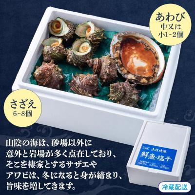 ふるさと納税 境港市 <平日着><1月上旬〜2月上旬頃順次配送>あわび・さざえ詰合せ(2種) |  | 01