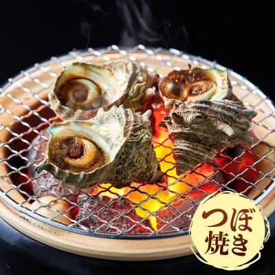 ふるさと納税 境港市 <平日着><1月上旬〜2月上旬頃順次配送>あわび・さざえ詰合せ(2種) |  | 02