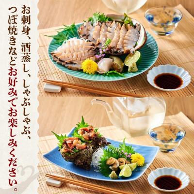 ふるさと納税 境港市 <平日着><1月上旬〜2月上旬頃順次配送>あわび・さざえ詰合せ(2種) |  | 03