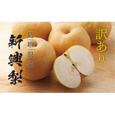 ふるさと納税 八頭町 [訳あり]新興梨 4kg