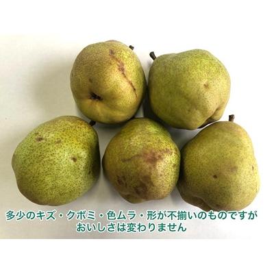 ふるさと納税 上山市 訳あり(ご家庭用) 西洋梨 ラフランス 3kg 0102-2604 |  | 01