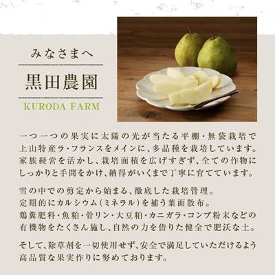 ふるさと納税 上山市 訳あり(ご家庭用) 西洋梨 ラフランス 3kg 0102-2604 |  | 03