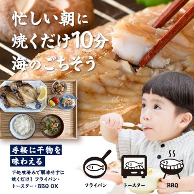 ふるさと納税 佐伯市 <定期便・全6回 (隔月)>訳あり 干物大満足BOX (240尾以上)の画像