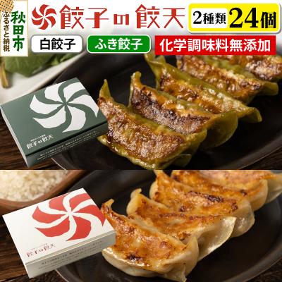 ふるさと納税 秋田市 [至福の白餃子・新緑のふき餃子24個詰合せ]餃子の餃天|15_ggt-062401