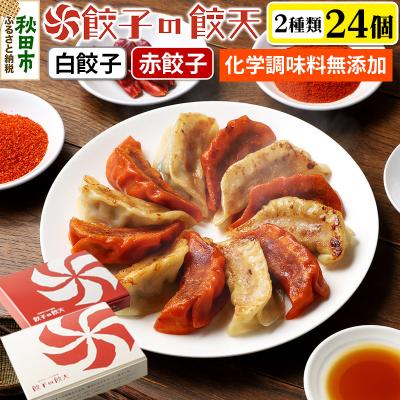 ふるさと納税 秋田市 [至福の白餃子・情熱の赤餃子24個詰合せ]餃子の餃天|15_ggt-052401