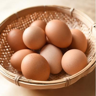 ふるさと納税 安芸高田市 卵 こだわり家族のこだわり卵 30個 セット 3ヶ月 定期便[No5895-0627]_1