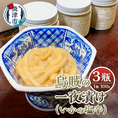 ふるさと納税 焼津市 いかの塩辛(a10-1071)