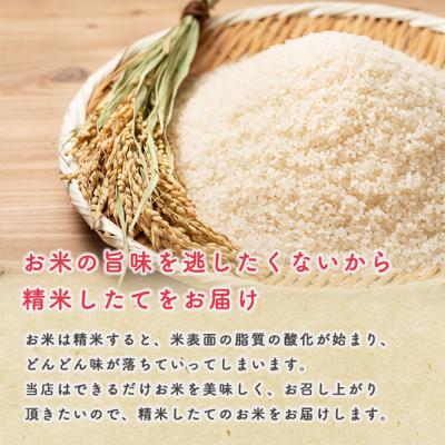ふるさと納税 男鹿市 令和7年産 【白米】家計お助け米 あきたこまち 10kg|23_kml-011001_2