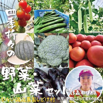 ふるさと納税 大館市 四季折々の野菜・山菜セット(5品目ほど)