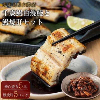 ふるさと納税 大崎町 鹿児島県大隅産 千歳鰻の白焼き鰻 5尾・鰻焼肝セット