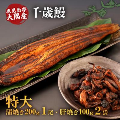 ふるさと納税 大崎町 鹿児島県大隅産 特大うなぎ蒲焼200g 1尾・鰻の肝焼き100g×2袋 セット