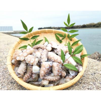 ふるさと納税 豊後高田市 [たこ] 岬だこブツ切り 200g×3パック 食べきりサイズ! たこ タコ 蛸 たこぶつ切り