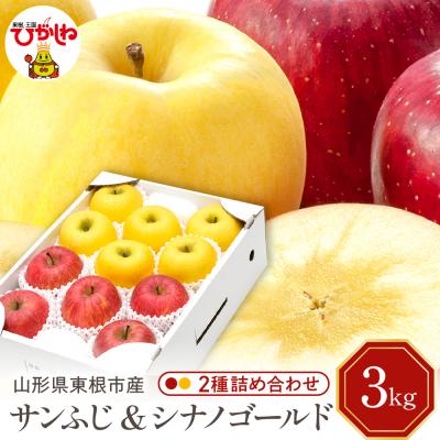 ふるさと納税 東根市 [令和7年産]りんごサンふじ&amp;シナノゴールド 詰め合わせ 3kg秀品 hi027-209-2