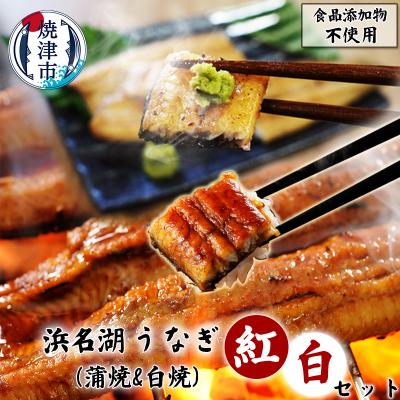 ふるさと納税 焼津市 添加物不使用の浜名湖うなぎ蒲焼&amp;白焼 紅白SET(a20-422)