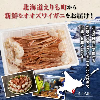 ふるさと納税 えりも町 えりも【マルデン特製】訳あり生冷オオズワイガニセクション1kg【er002-049-a】 |  | 03