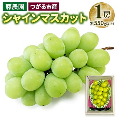 ふるさと納税 つがる市 シャインマスカット 1房 (約550g以上) [0964]