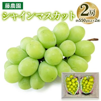 ふるさと納税 つがる市 シャインマスカット 2房 (約550g以上×2房) [0965]