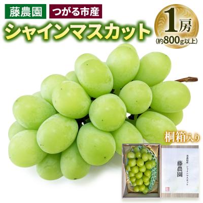 ふるさと納税 つがる市 シャインマスカット 1房 桐箱入り (約800g) [0627]