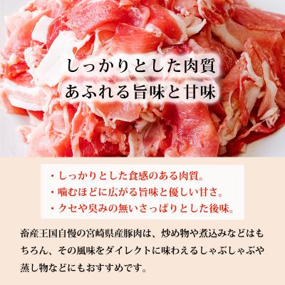 ふるさと納税 高原町 高原育ちの宮崎県産豚肉切り落とし&amp;ミンチ3kg[アレンジ色々万能食材]