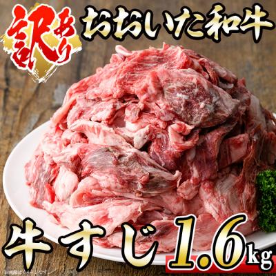 ふるさと納税 佐伯市 <訳あり>おおいた和牛 牛すじ (計1.6kg・400g×4P)