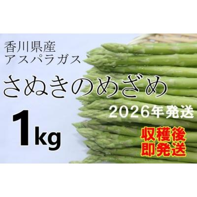 ふるさと納税 善通寺市 &lt;先行受付&gt;2026年産 善通寺市産アスパラ「さぬきのめざめ」1kg