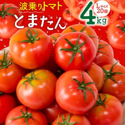 ふるさと納税 気仙沼市 [期間限定発送]波乗り トマト とまたん 4kg (20個入) 