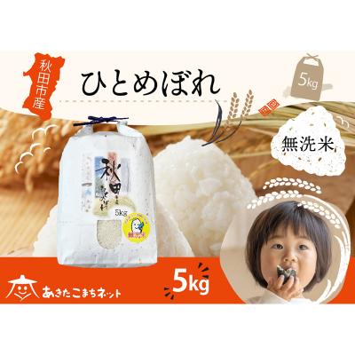 ふるさと納税 秋田市 秋田市産ひとめぼれ 5kg [無洗米]|15_akn-gg0501m