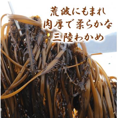 ふるさと納税 普代村 三陸水産 カットわかめ 50g×2袋 乾燥 三陸 ワカメ 若芽 |  | 01