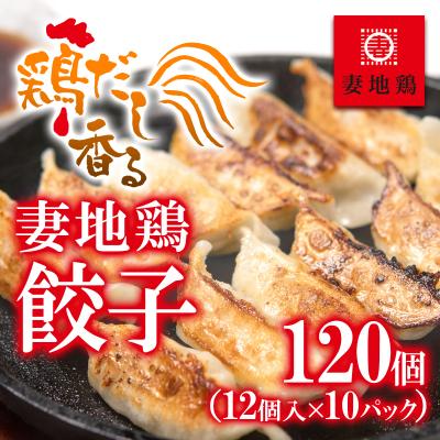 ふるさと納税 西都市 地鶏ぎょうざ120個(12個×10パック)[妻地鶏餃子][2485]