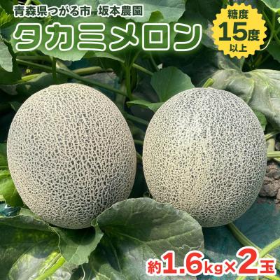 ふるさと納税 つがる市 坂本農園のブランドメロン タカミ [0822]
