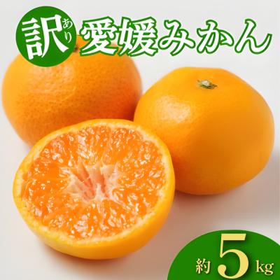 ふるさと納税 愛南町 訳あり 愛媛みかん 約5kg みかん 蜜柑 温州みかん オレンジ 果物 愛媛県 愛南町 和家農園