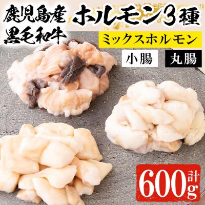 ふるさと納税 いちき串木野市 黒毛和牛ホルモン3種盛合わせ(小腸:200g 丸腸:200g ミックスホルモン:200g)