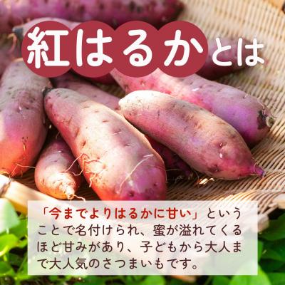 ふるさと納税 大崎町 紅蜜芋 紅はるかの焼き芋(2kg)の画像