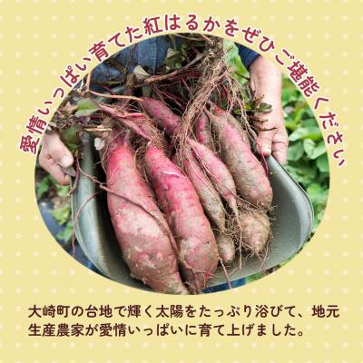 ふるさと納税 大崎町 紅蜜芋 紅はるかの焼き芋(2kg)の画像