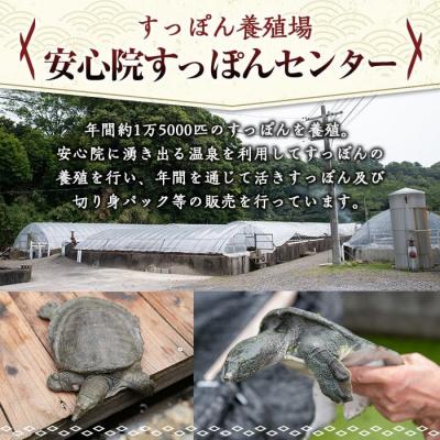 ふるさと納税 宇佐市 安心院べっぴんこらーげんスープ 200g×9【102700601】【安心院すっぽんセンター】_1