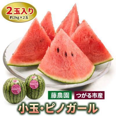 ふるさと納税 つがる市 スイカ (小玉) ピノガール 2玉 [0834]
