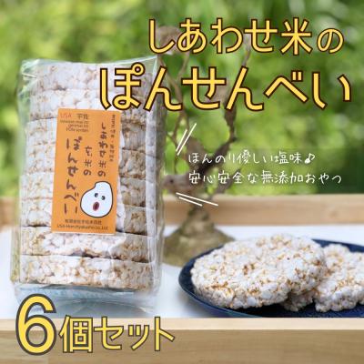 ふるさと納税 宇佐市 しあわせ米のぽんせんべい 8枚入×6個[101000902]