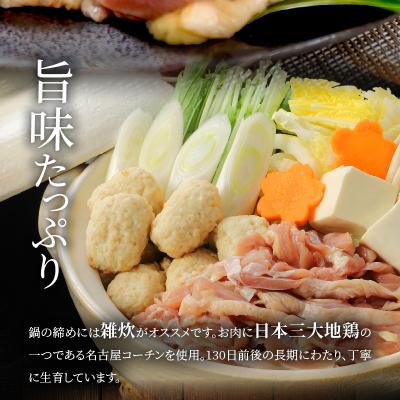 ふるさと納税 小牧市 名古屋コーチン鍋セット[001T07] |  | 02