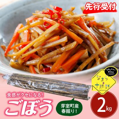 ふるさと納税 芽室町 [2026年5月中旬〜順次発送]北海道芽室町 春掘りごぼう[柳川理想]M2kg me001-031c