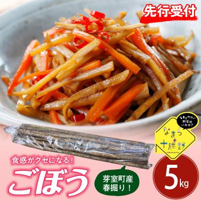 ふるさと納税 芽室町 [2026年5月中旬〜発送]北海道十勝芽室町 春掘りごぼう[柳川理想]M5kg me001-032c
